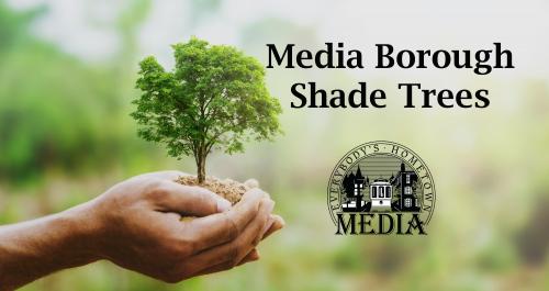 Media Borough Shade Trees